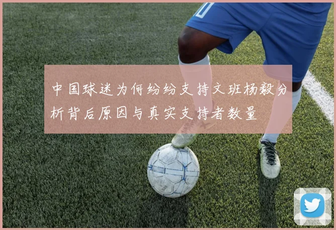 中国球迷为何纷纷支持文班杨毅分析背后原因与真实支持者数量